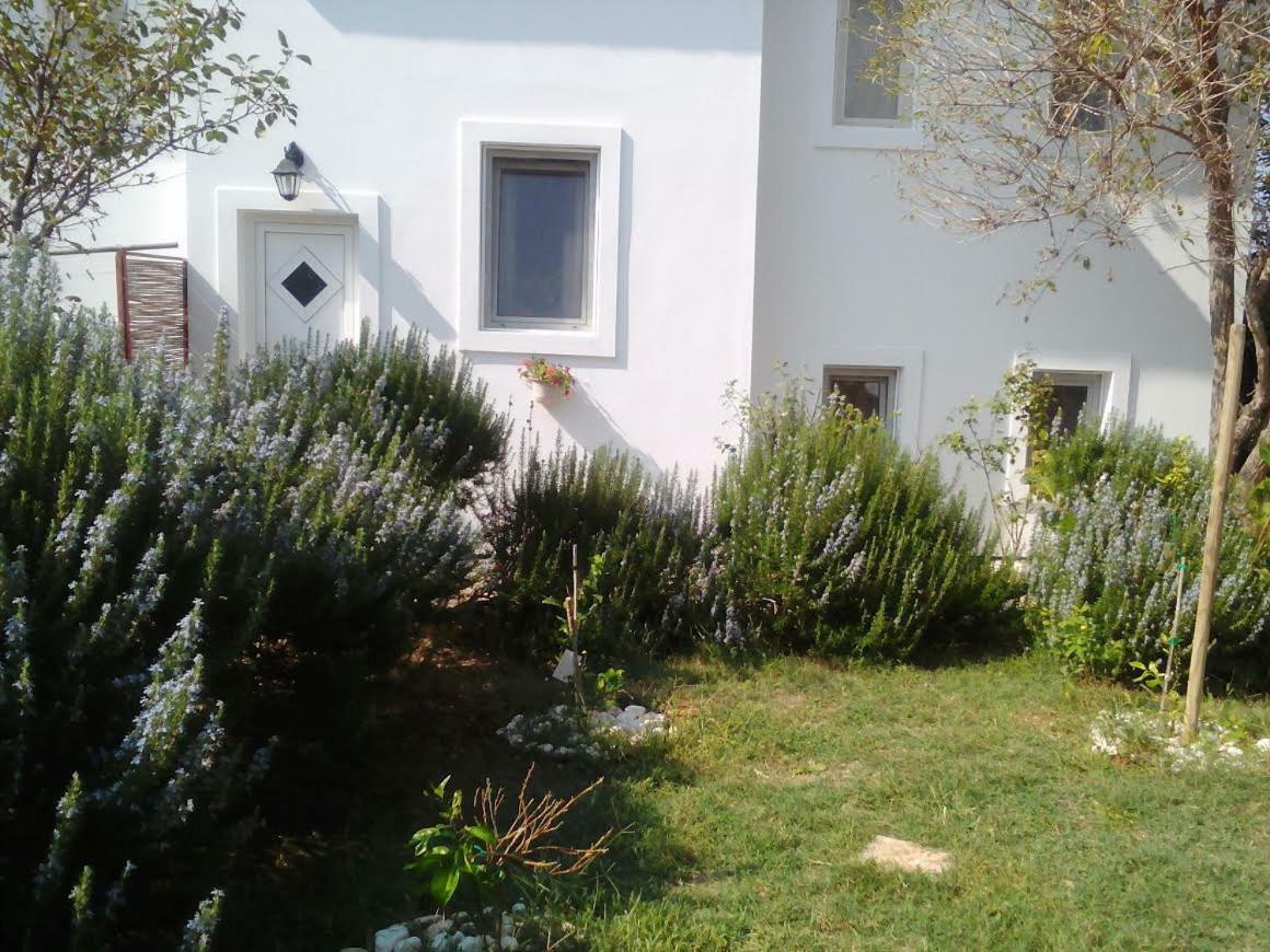 Apartments Lovor Silba Kültér fotó