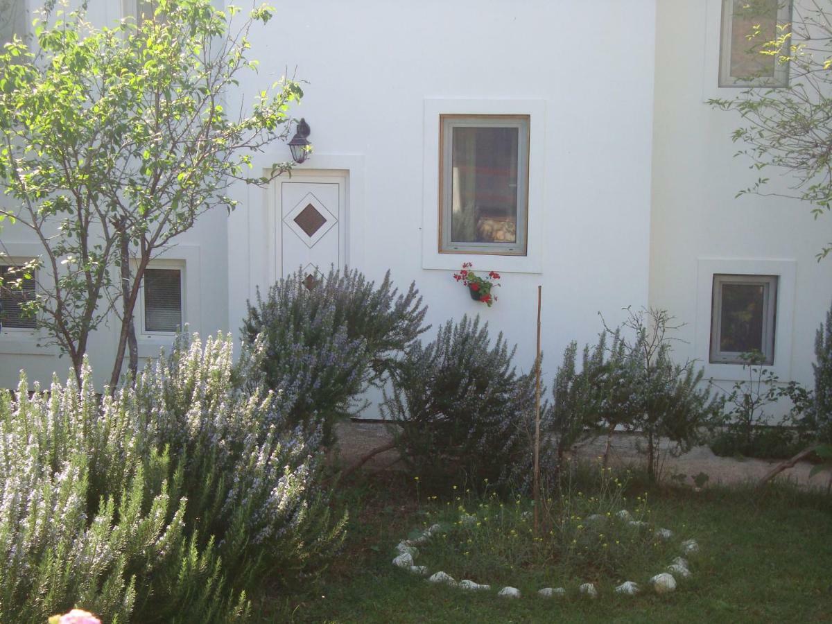 Apartments Lovor Silba Kültér fotó